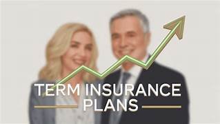 Term insurance for 2025
